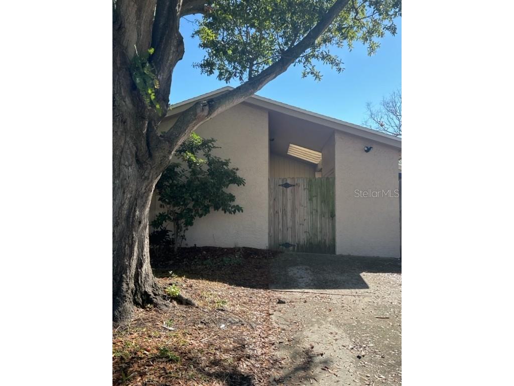 10505 Brynwood Lane Tampa FL 33624 T3507100 image1