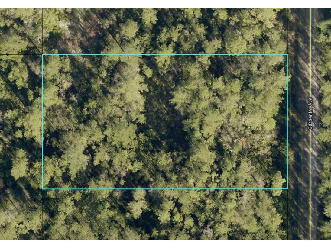 10505 Carpenter Avenue Hastings FL 32145 FC288406 image1