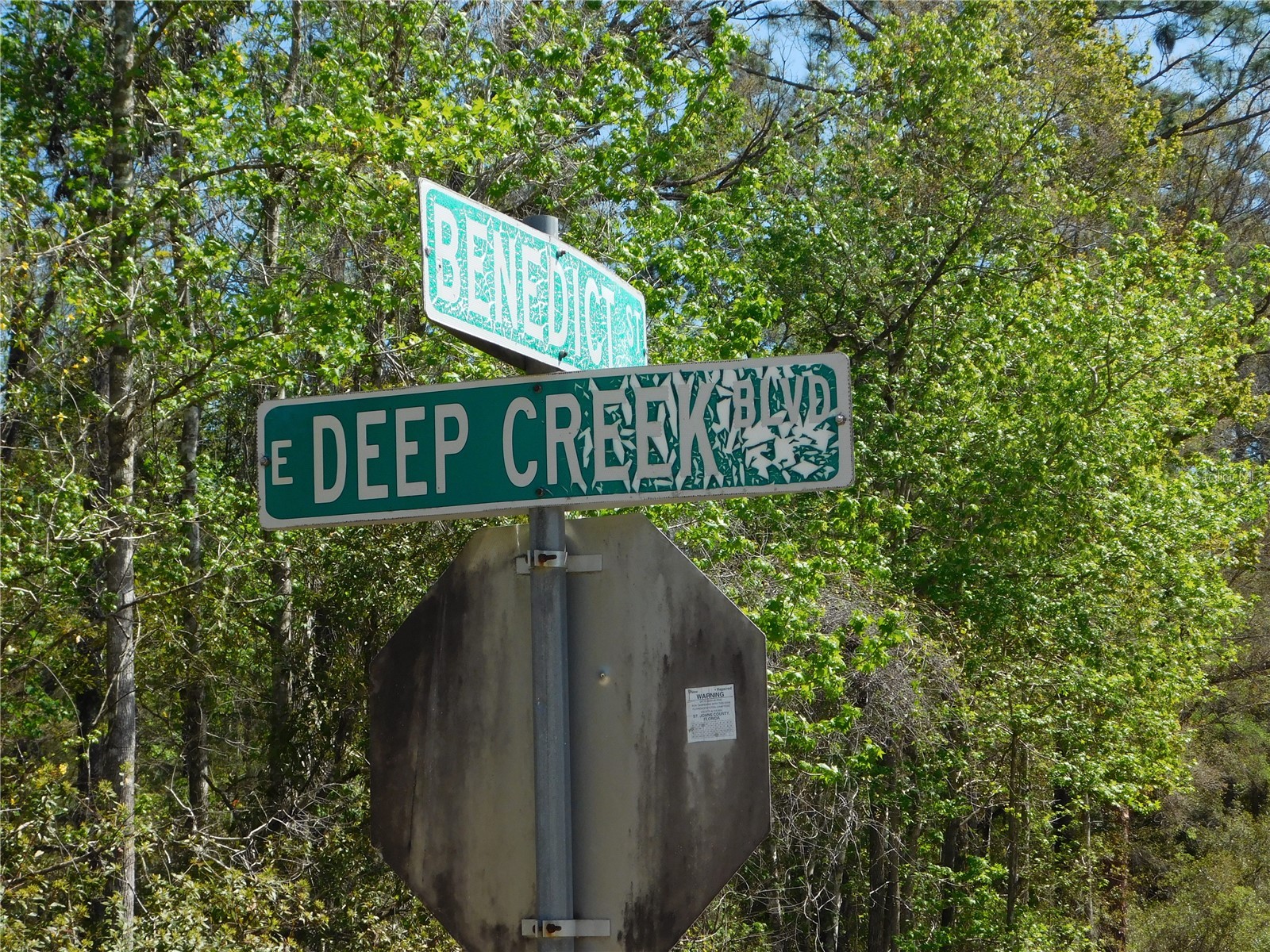 10505 E Deep Creek Boulevard Hastings FL 32145 O6390053 image12