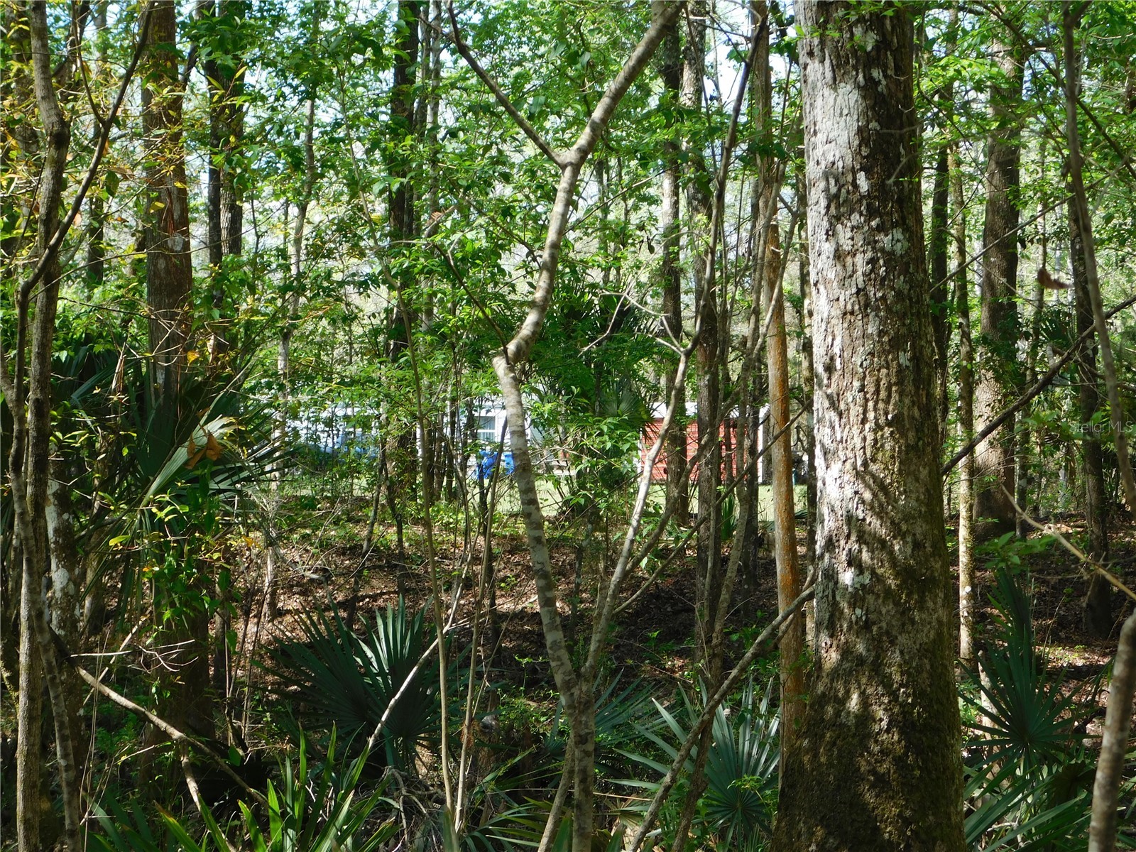 10505 E Deep Creek Boulevard Hastings FL 32145 O6390053 image13