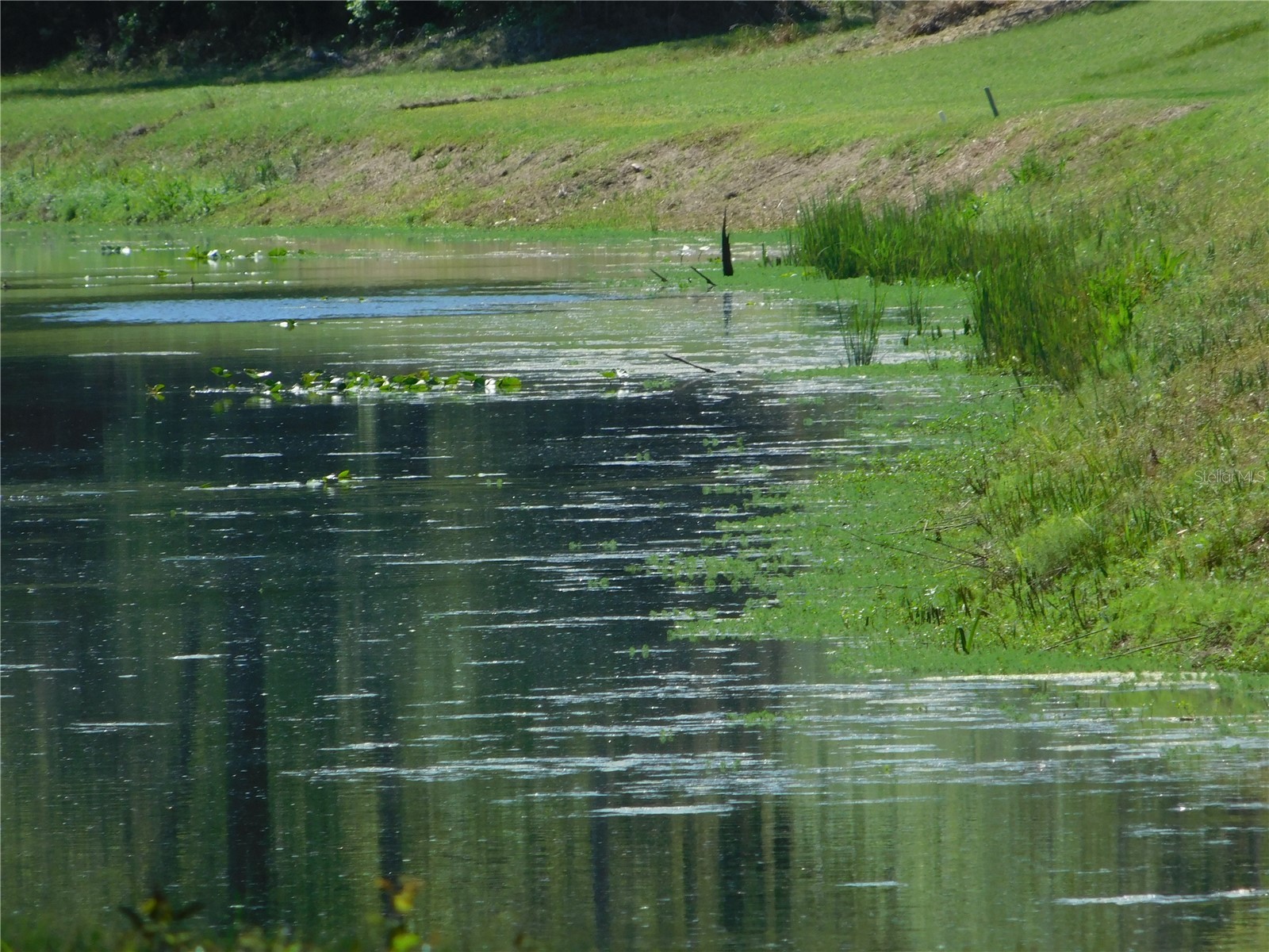 10505 E Deep Creek Boulevard Hastings FL 32145 O6390053 image18