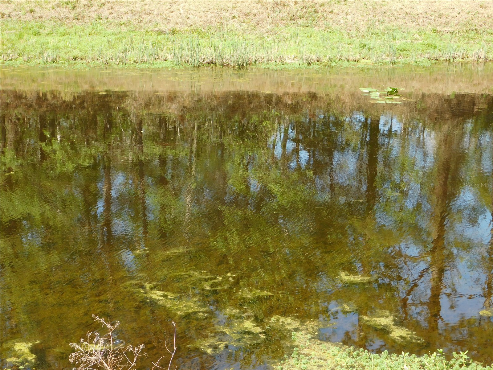 10505 E Deep Creek Boulevard Hastings FL 32145 O6390053 image20