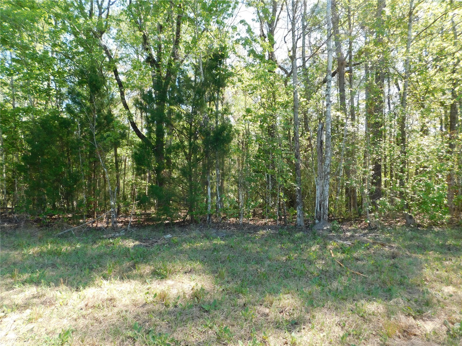 10505 E Deep Creek Boulevard Hastings FL 32145 O6390053 image21