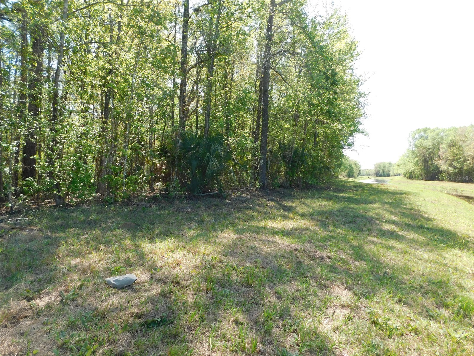 10505 E Deep Creek Boulevard Hastings FL 32145 O6390053 image22