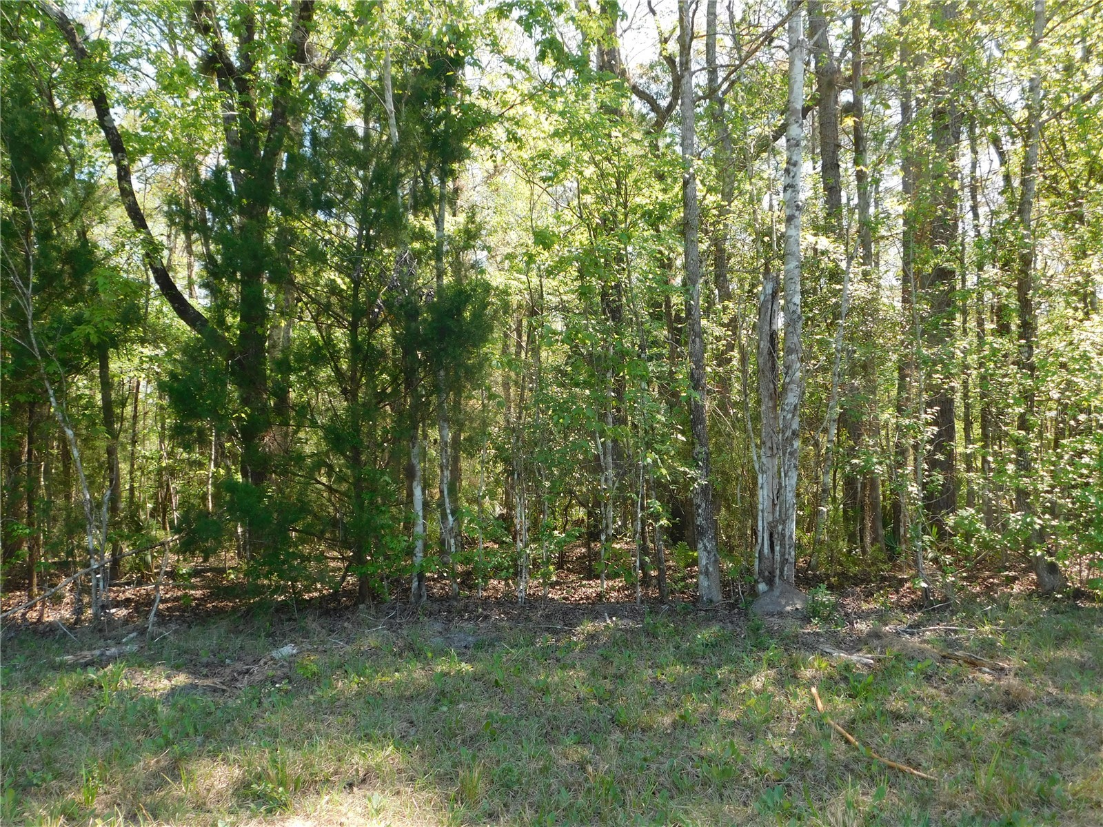 10505 E Deep Creek Boulevard Hastings FL 32145 O6390053 image25