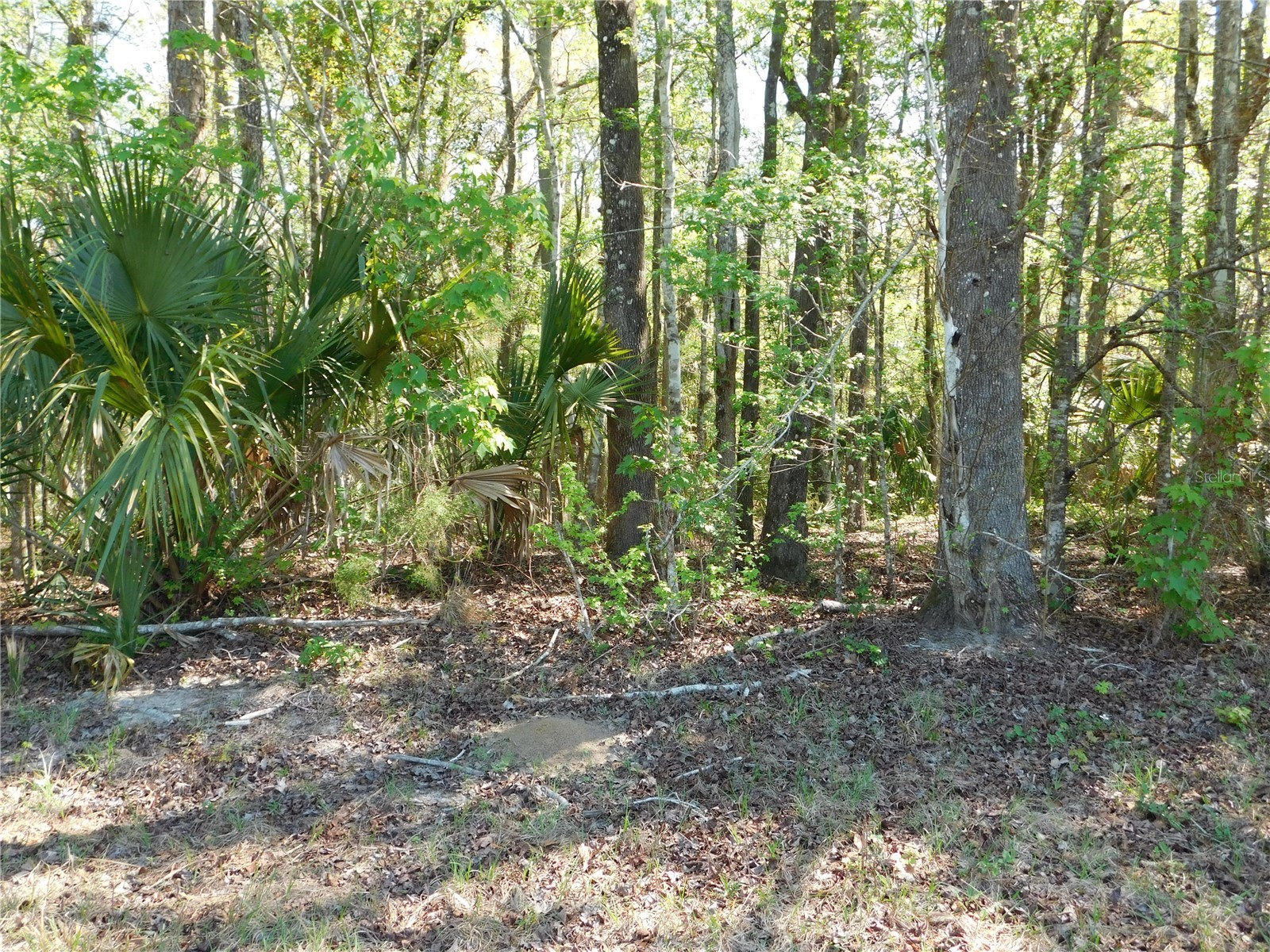 10505 E Deep Creek Boulevard Hastings FL 32145 O6390053 image26