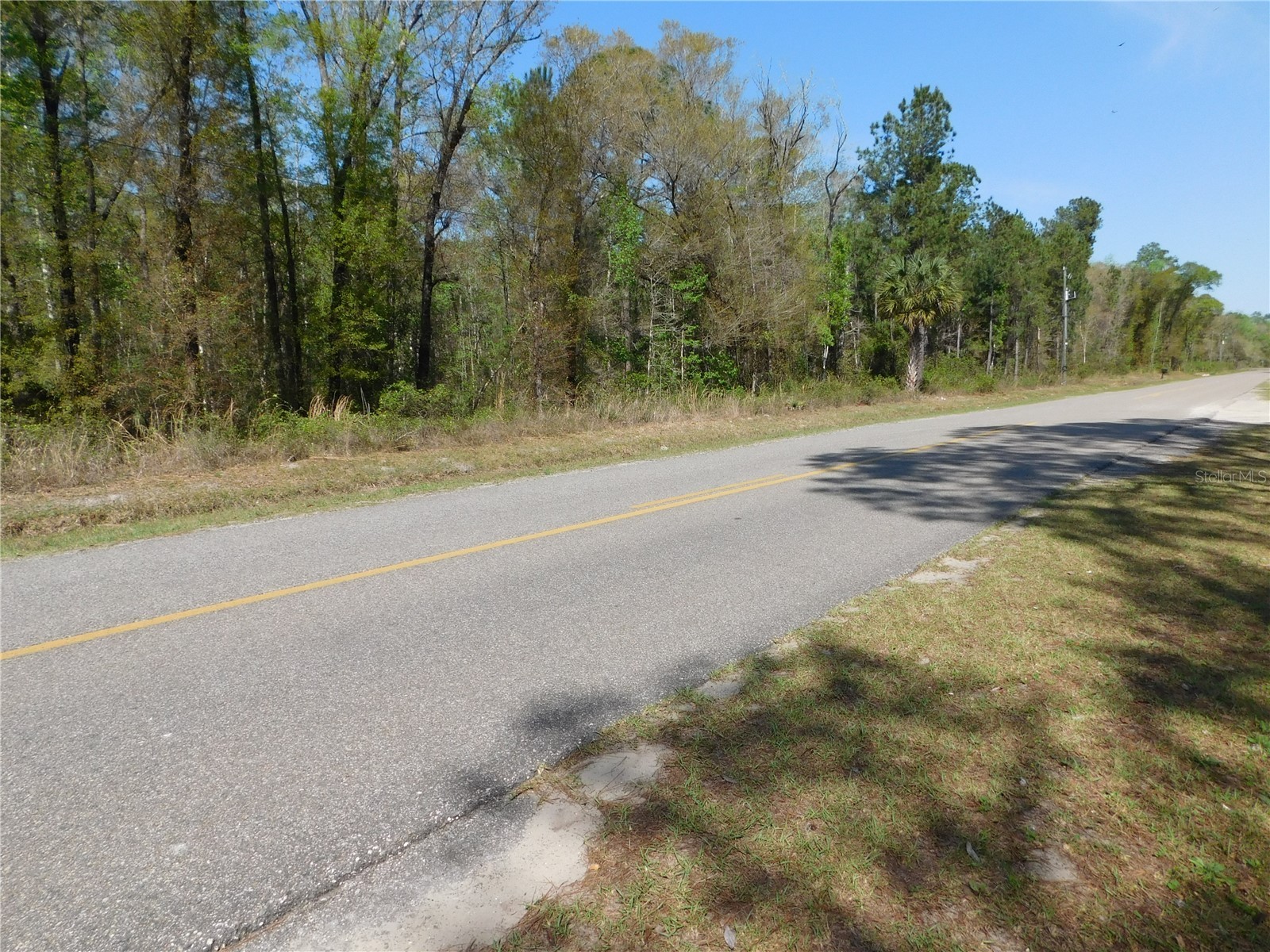 10505 E Deep Creek Boulevard Hastings FL 32145 O6390053 image5