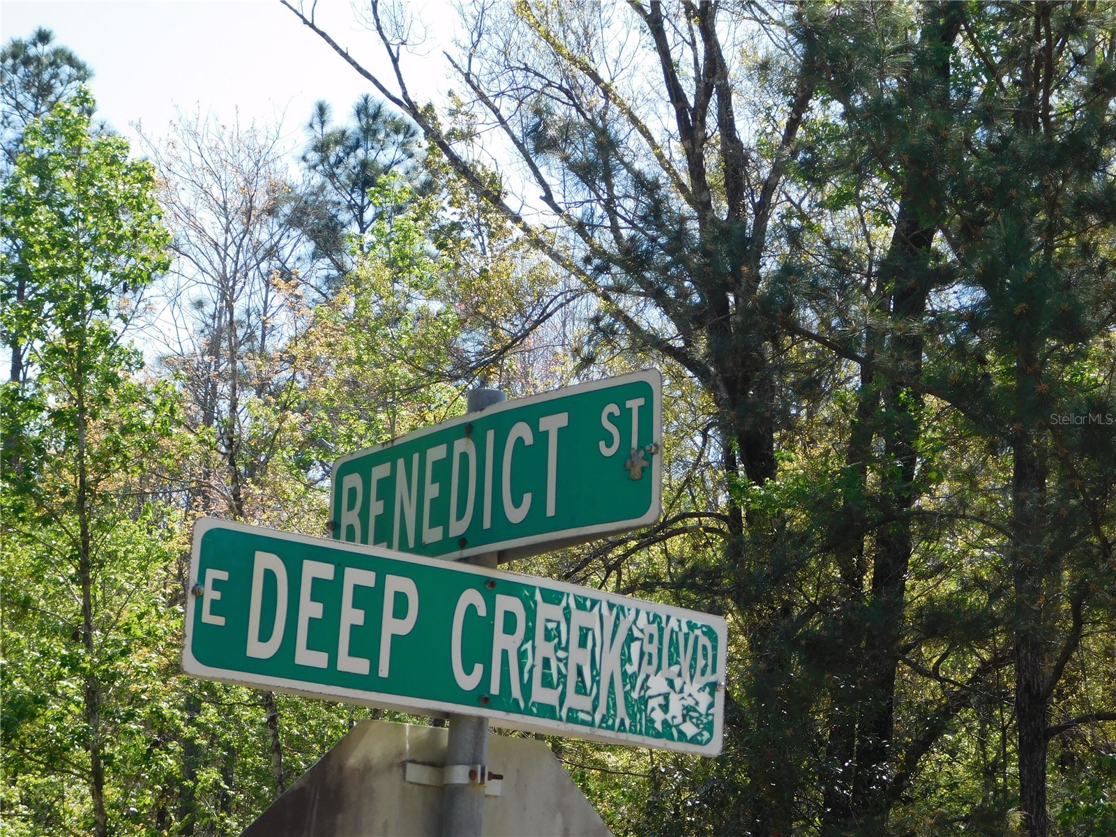 10505 E Deep Creek Boulevard Hastings FL 32145 O6390053 image6