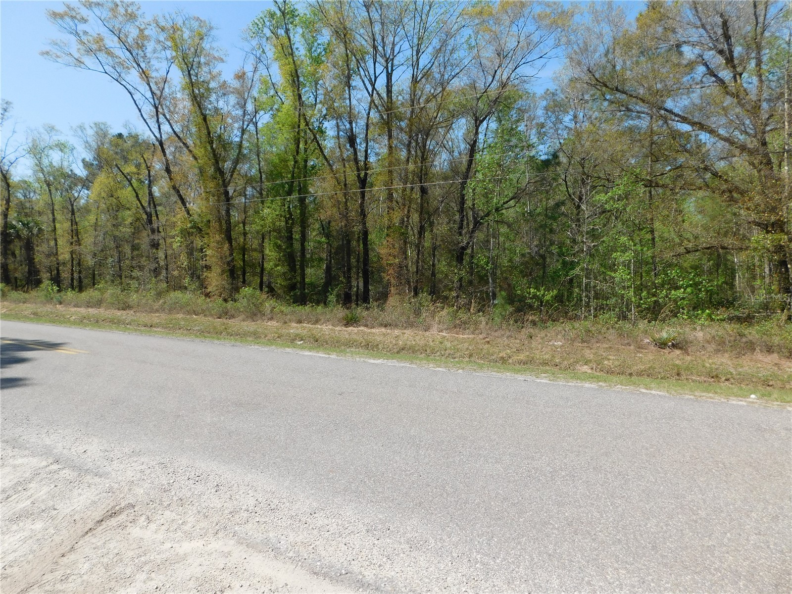 10505 E Deep Creek Boulevard Hastings FL 32145 O6390053 image7