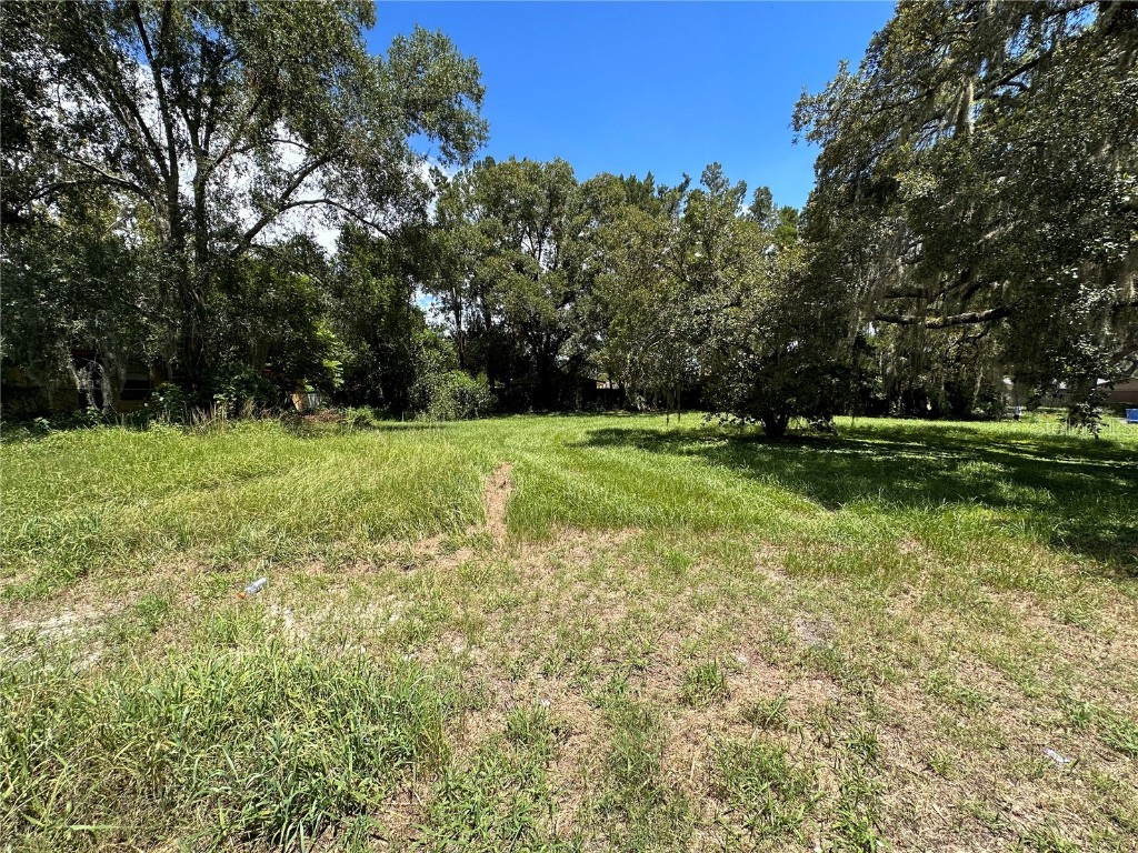 10505 Hershey Road Thonotosassa FL 33592 T3467540 image1