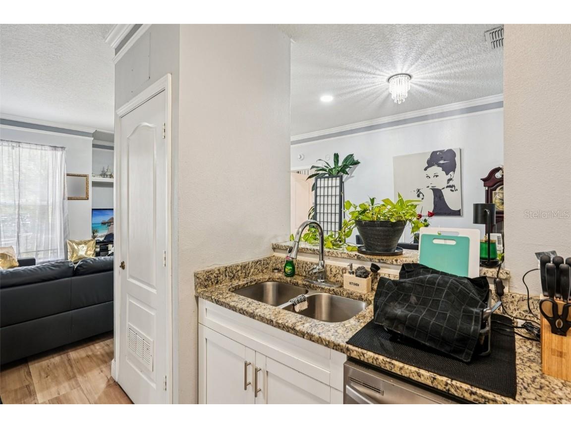 10505 Villa View Circle Tampa FL 33647 TB8428396 image11