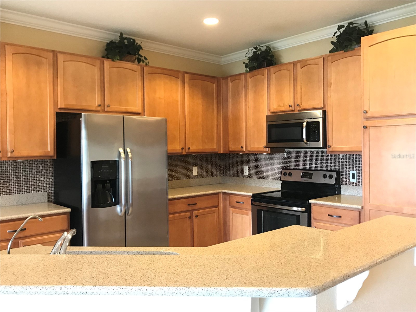 10505 Willow Ridge Loop Orlando FL 32825 O6388769 image15