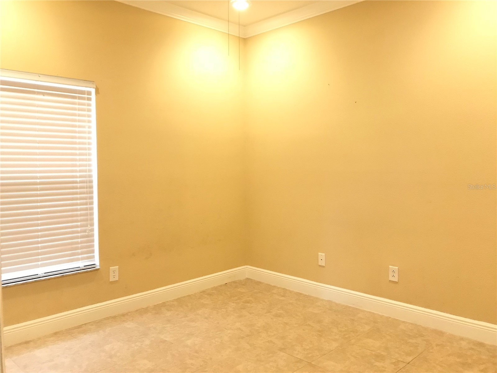 10505 Willow Ridge Loop Orlando FL 32825 O6388769 image22