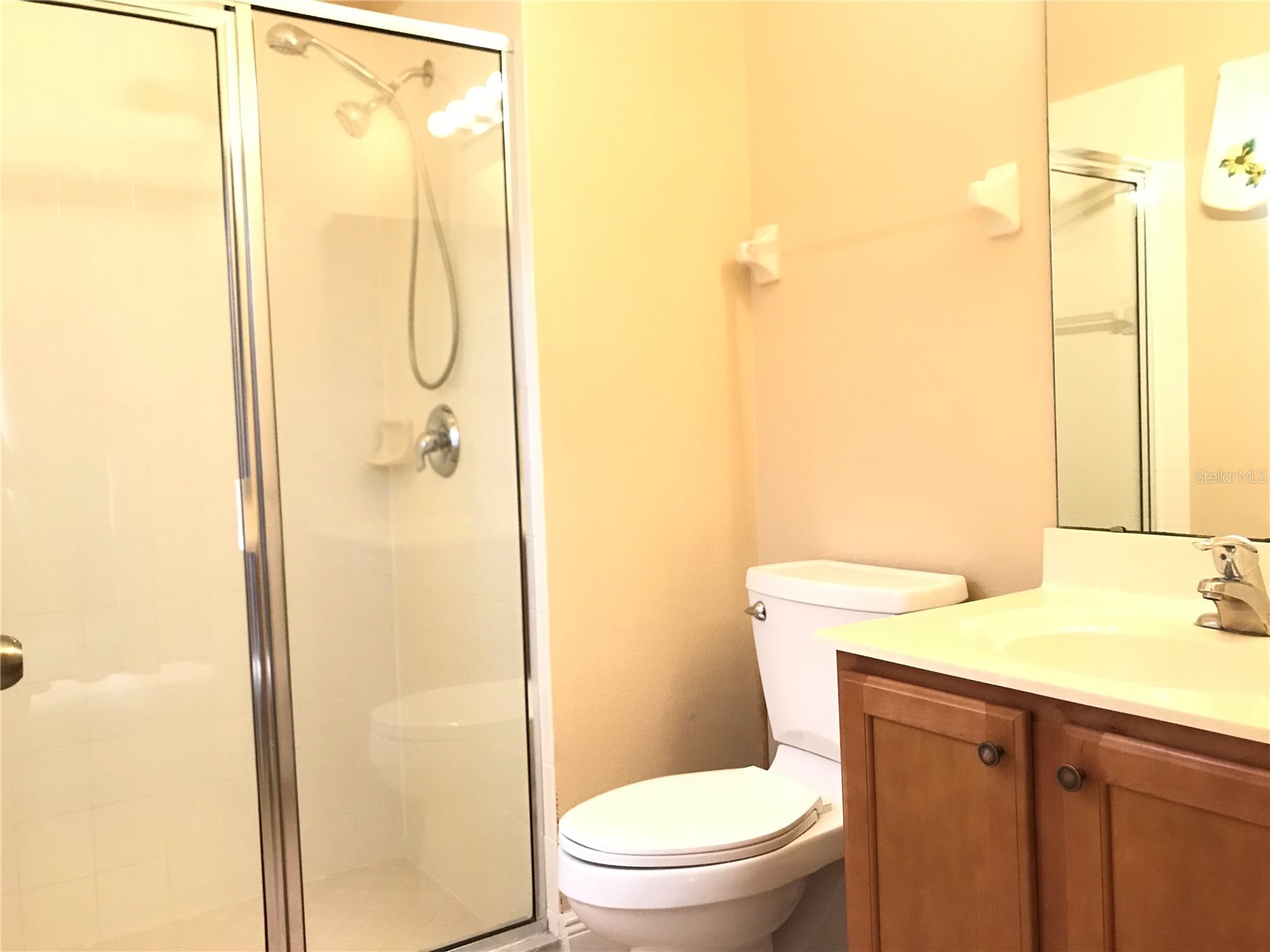 10505 Willow Ridge Loop Orlando FL 32825 O6388769 image23