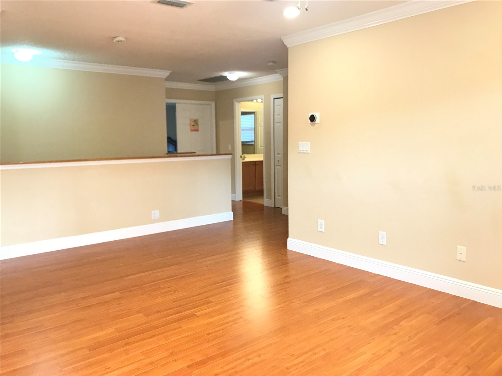 10505 Willow Ridge Loop Orlando FL 32825 O6388769 image42