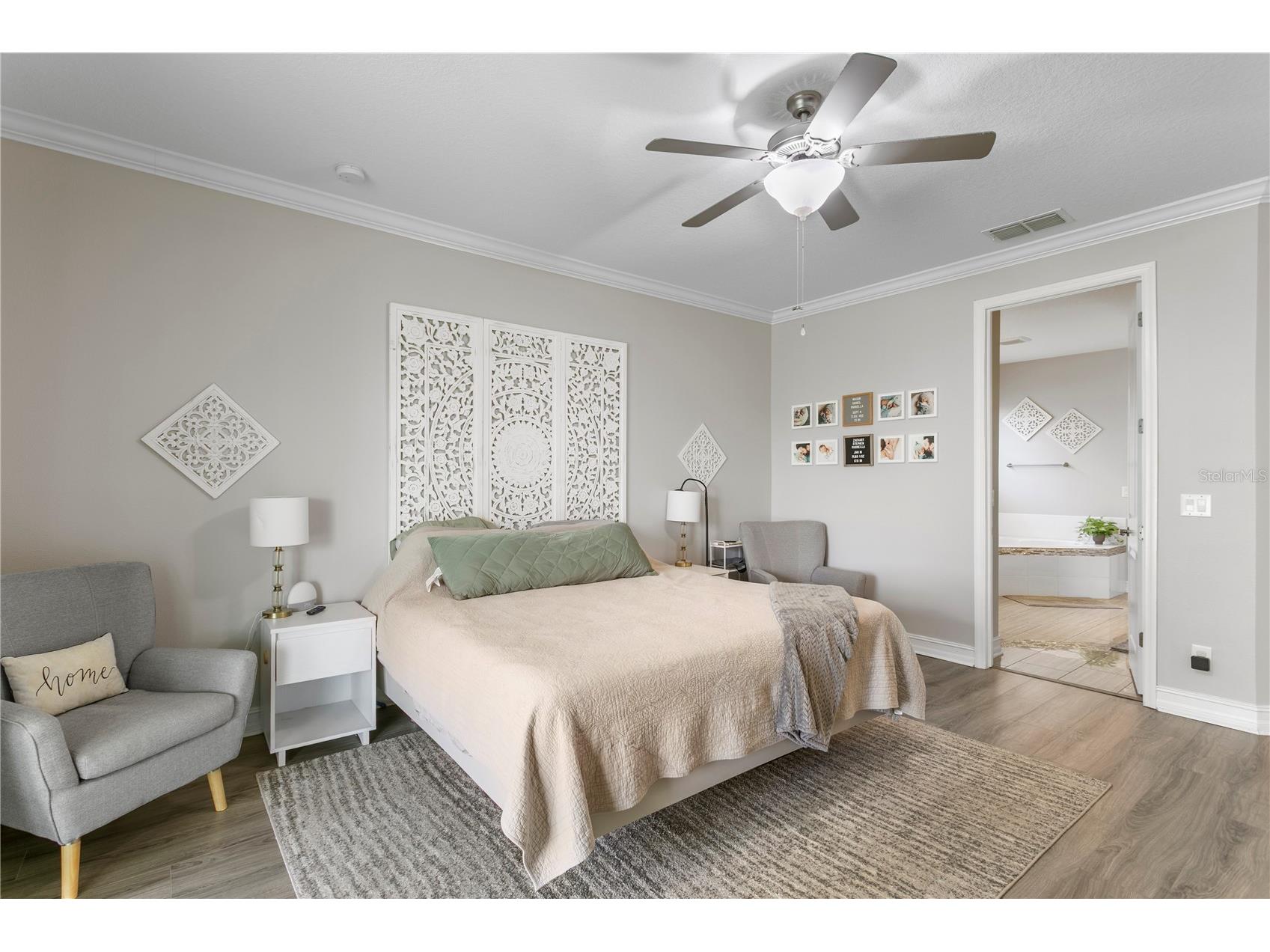 10506 Alcon Blue Drive Riverview FL 33578 TB8512598 image21