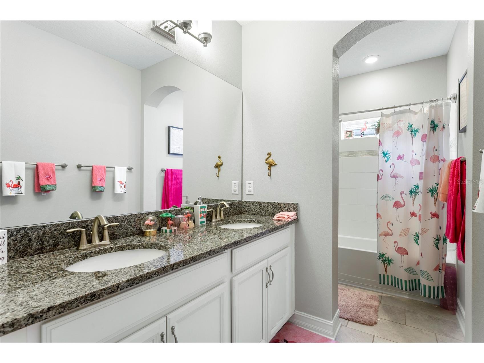 10506 Alcon Blue Drive Riverview FL 33578 TB8512598 image38