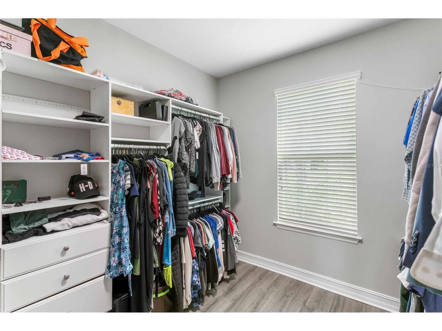10506 Alcon Blue Drive Riverview FL 33578 TB8512598 image44