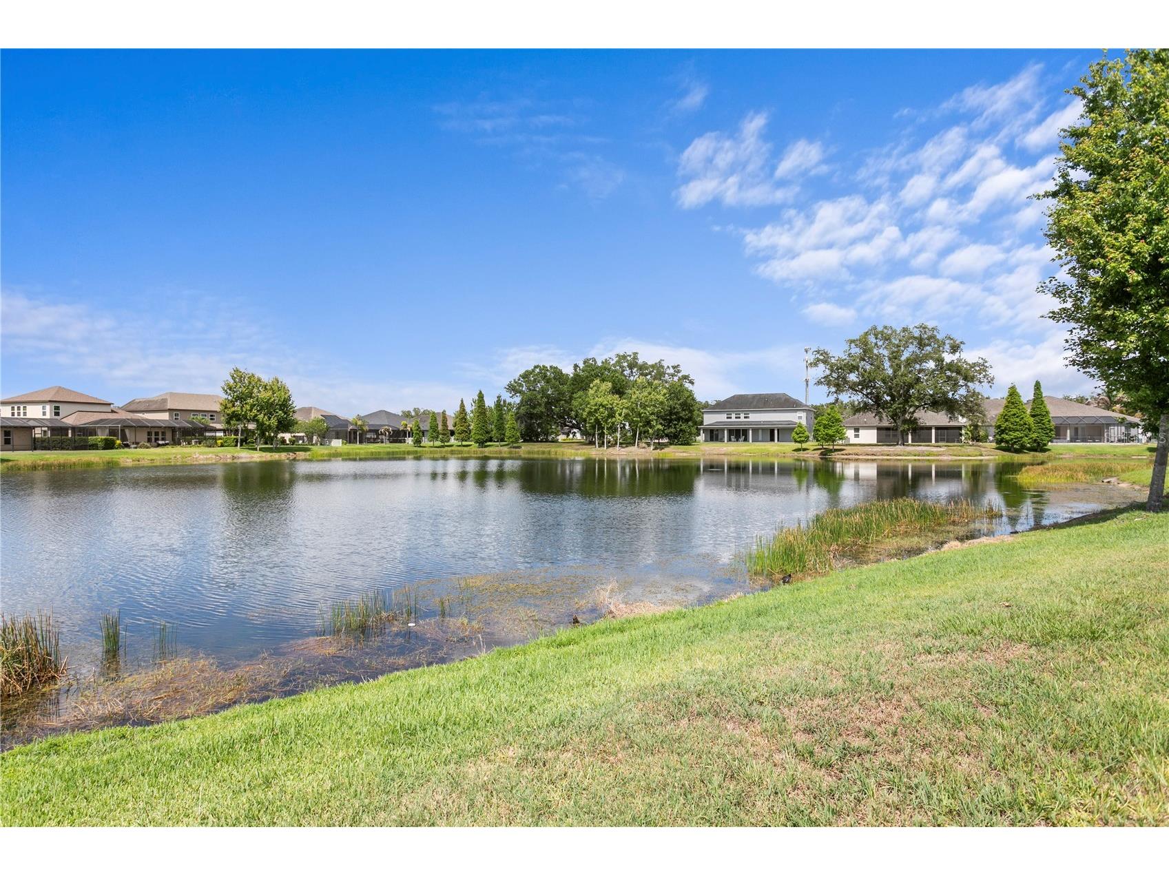 10506 Alcon Blue Drive Riverview FL 33578 TB8512598 image47