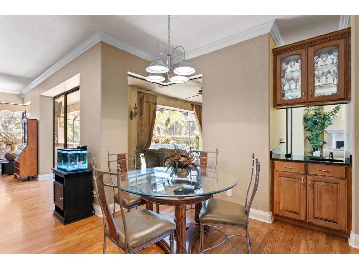 10506 Cory Lake Drive Tampa FL 33647 TB8437324 image18