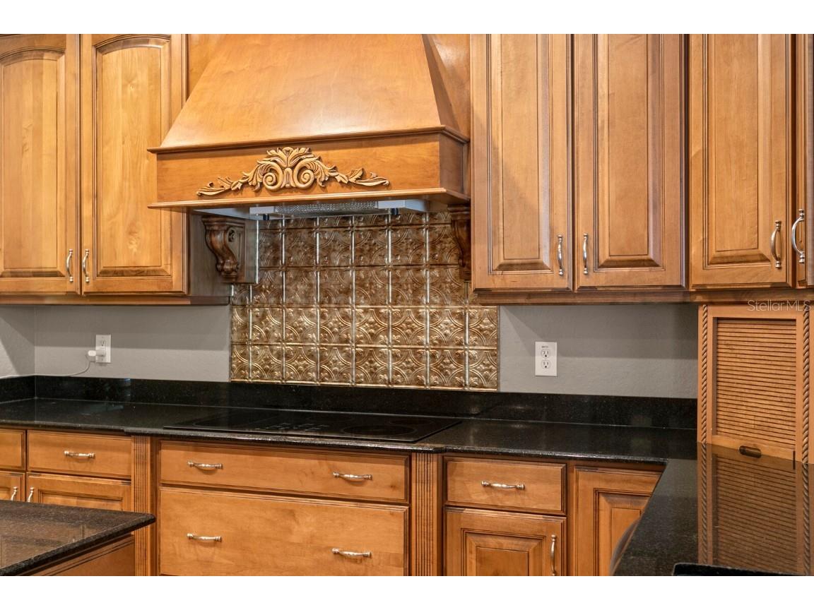 10506 Cory Lake Drive Tampa FL 33647 TB8437324 image20