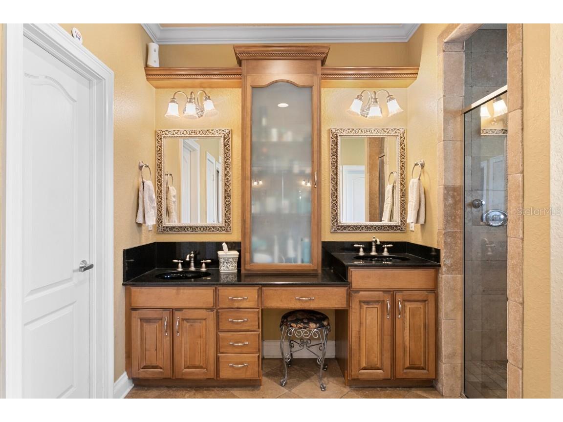 10506 Cory Lake Drive Tampa FL 33647 TB8437324 image27