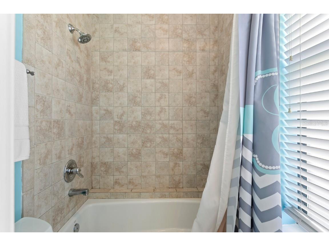 10506 Cory Lake Drive Tampa FL 33647 TB8437324 image34