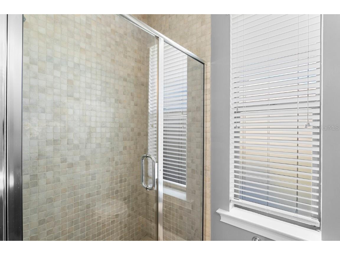 10506 Cory Lake Drive Tampa FL 33647 TB8437324 image38