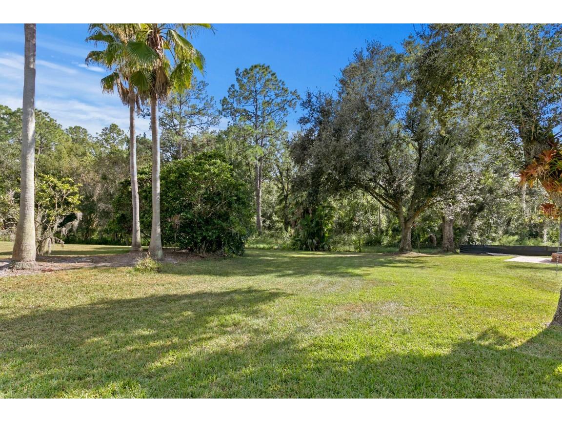 10506 Cory Lake Drive Tampa FL 33647 TB8437324 image4