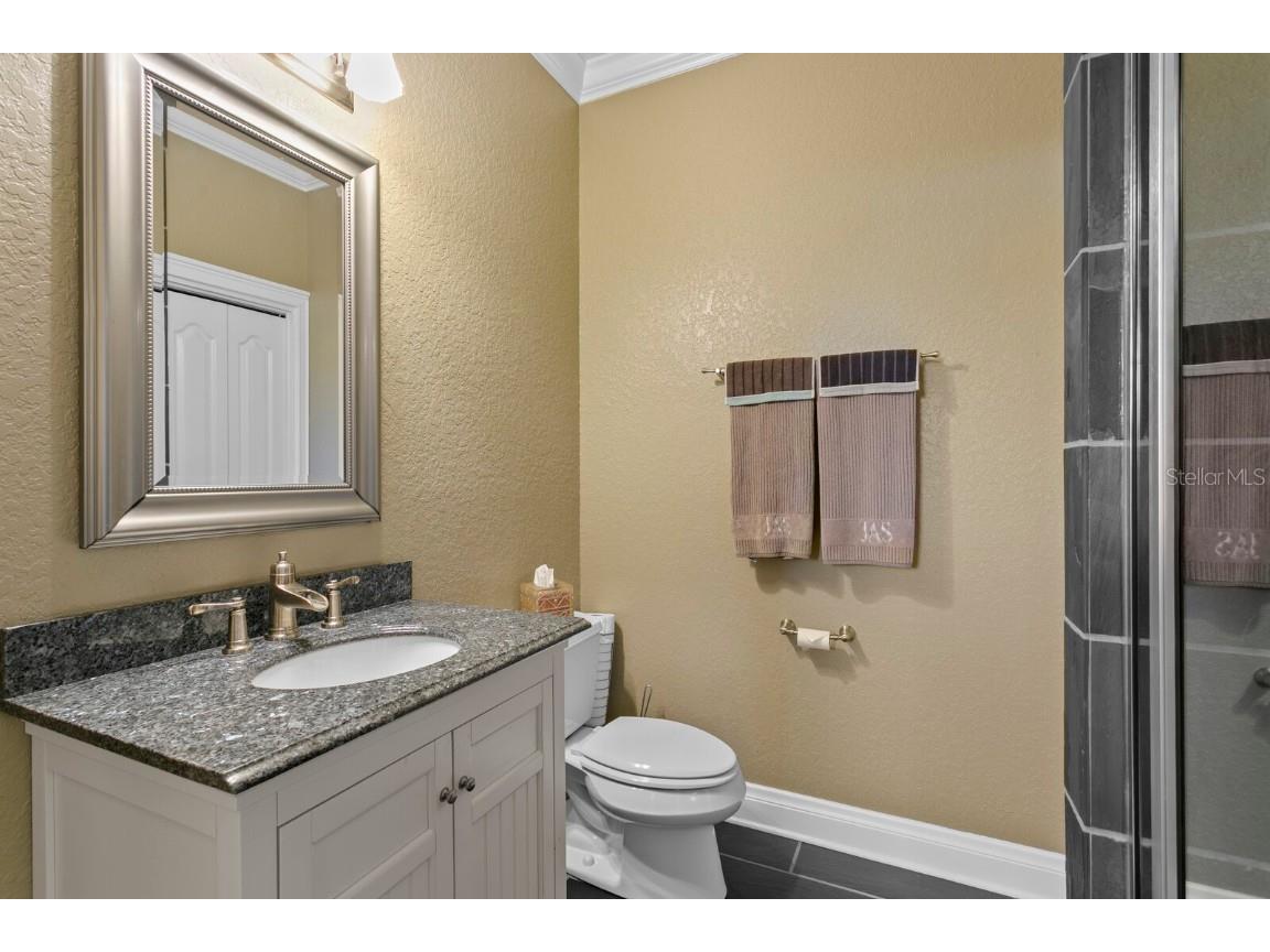 10506 Cory Lake Drive Tampa FL 33647 TB8437324 image41