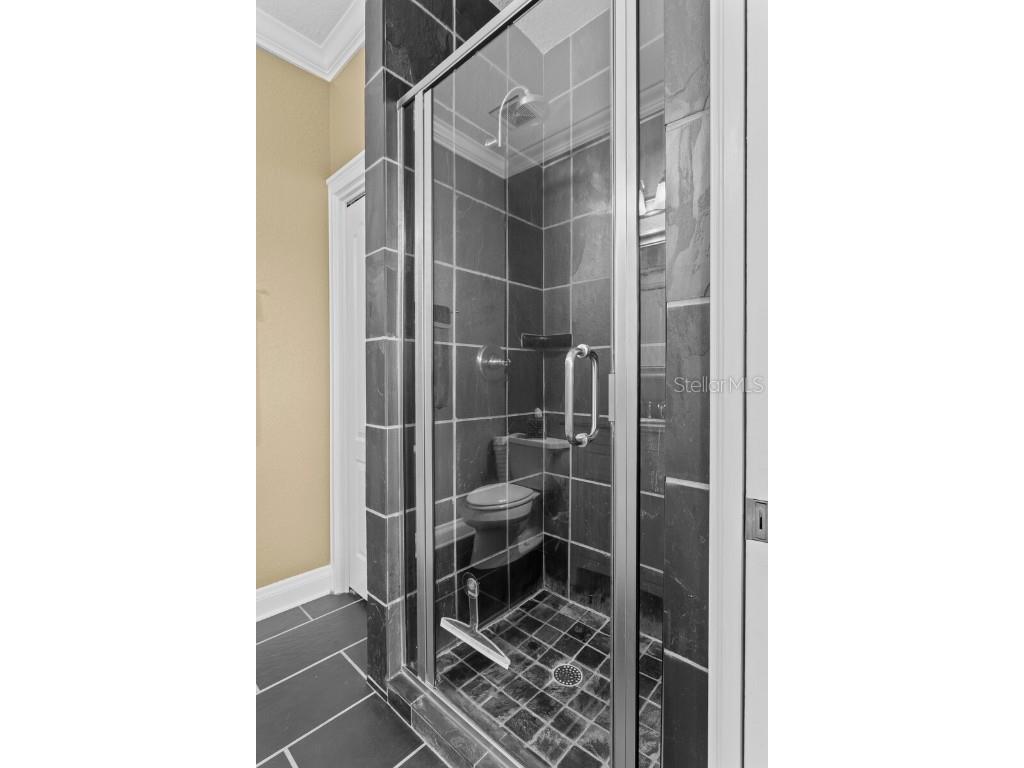 10506 Cory Lake Drive Tampa FL 33647 TB8437324 image42