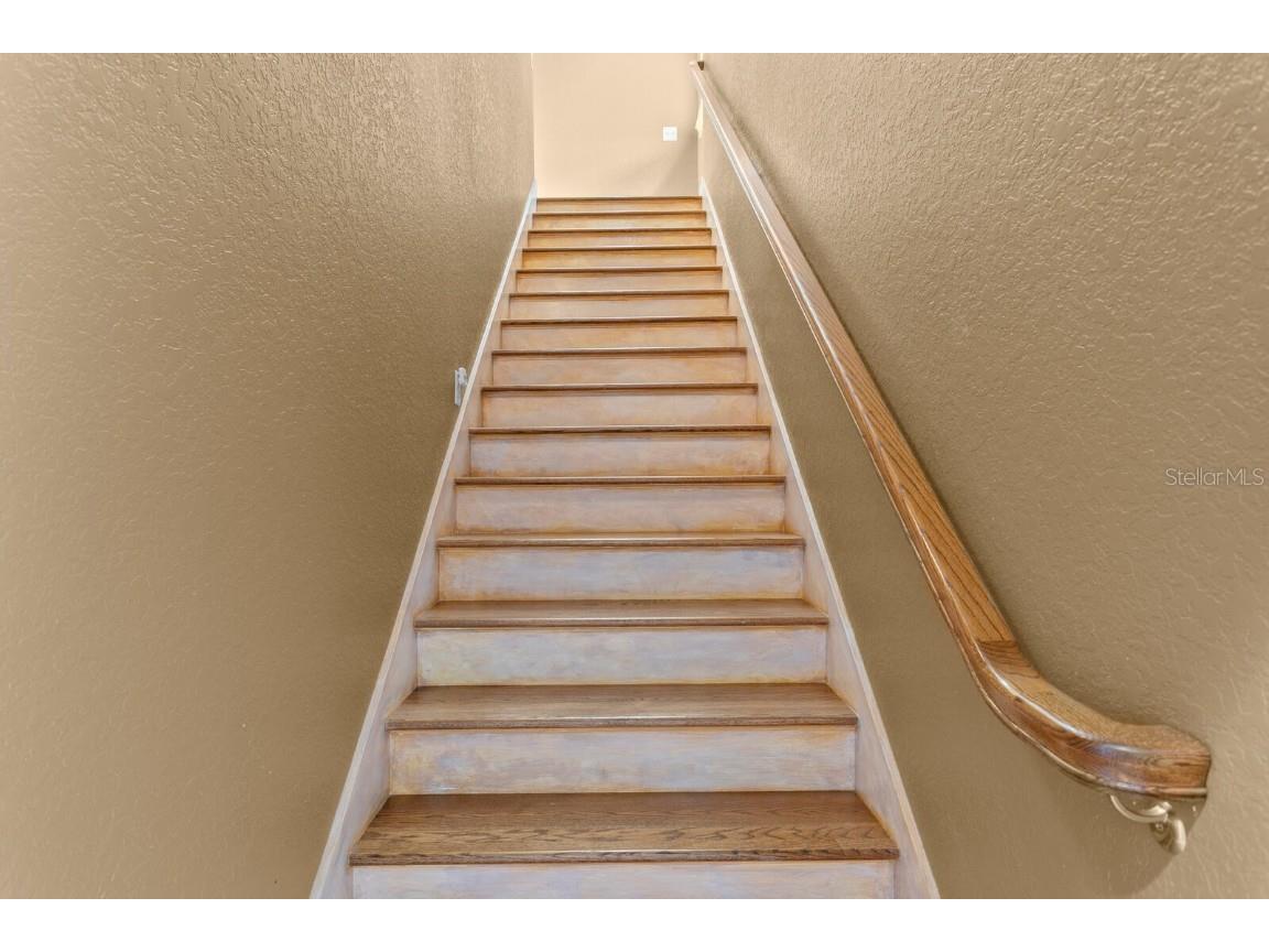 10506 Cory Lake Drive Tampa FL 33647 TB8437324 image43