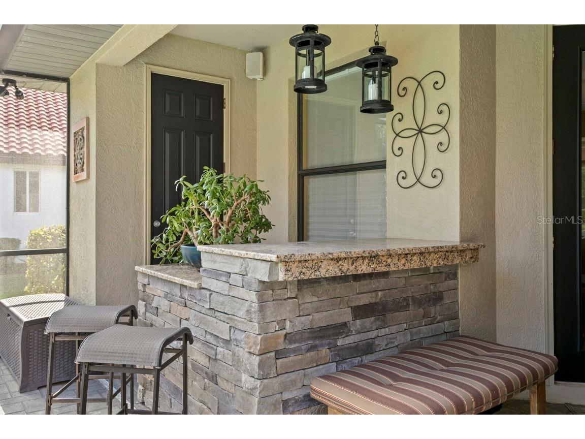 10506 Cory Lake Drive Tampa FL 33647 TB8437324 image57