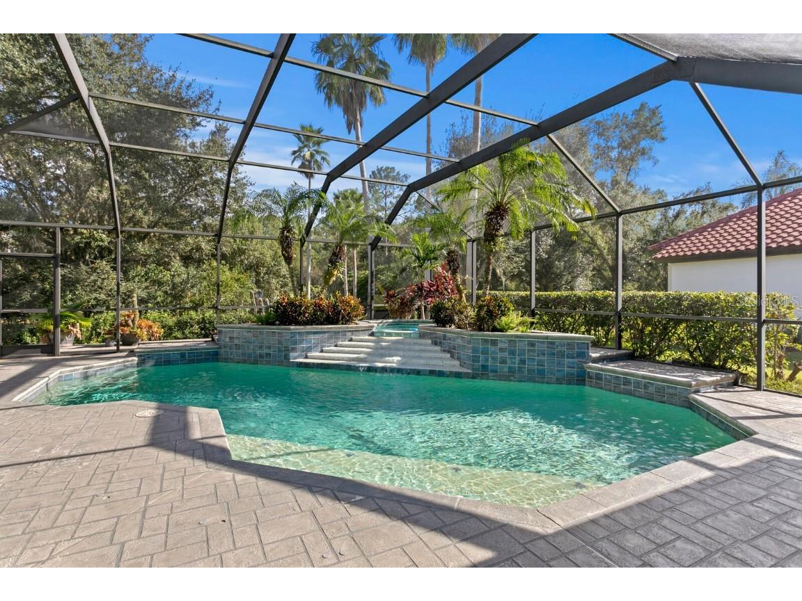 10506 Cory Lake Drive Tampa FL 33647 TB8437324 image65