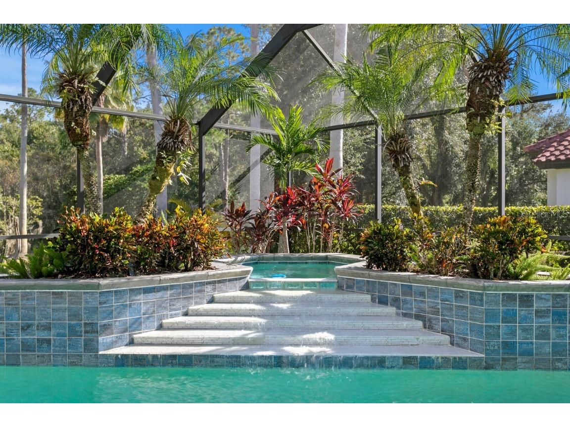 10506 Cory Lake Drive Tampa FL 33647 TB8437324 image67