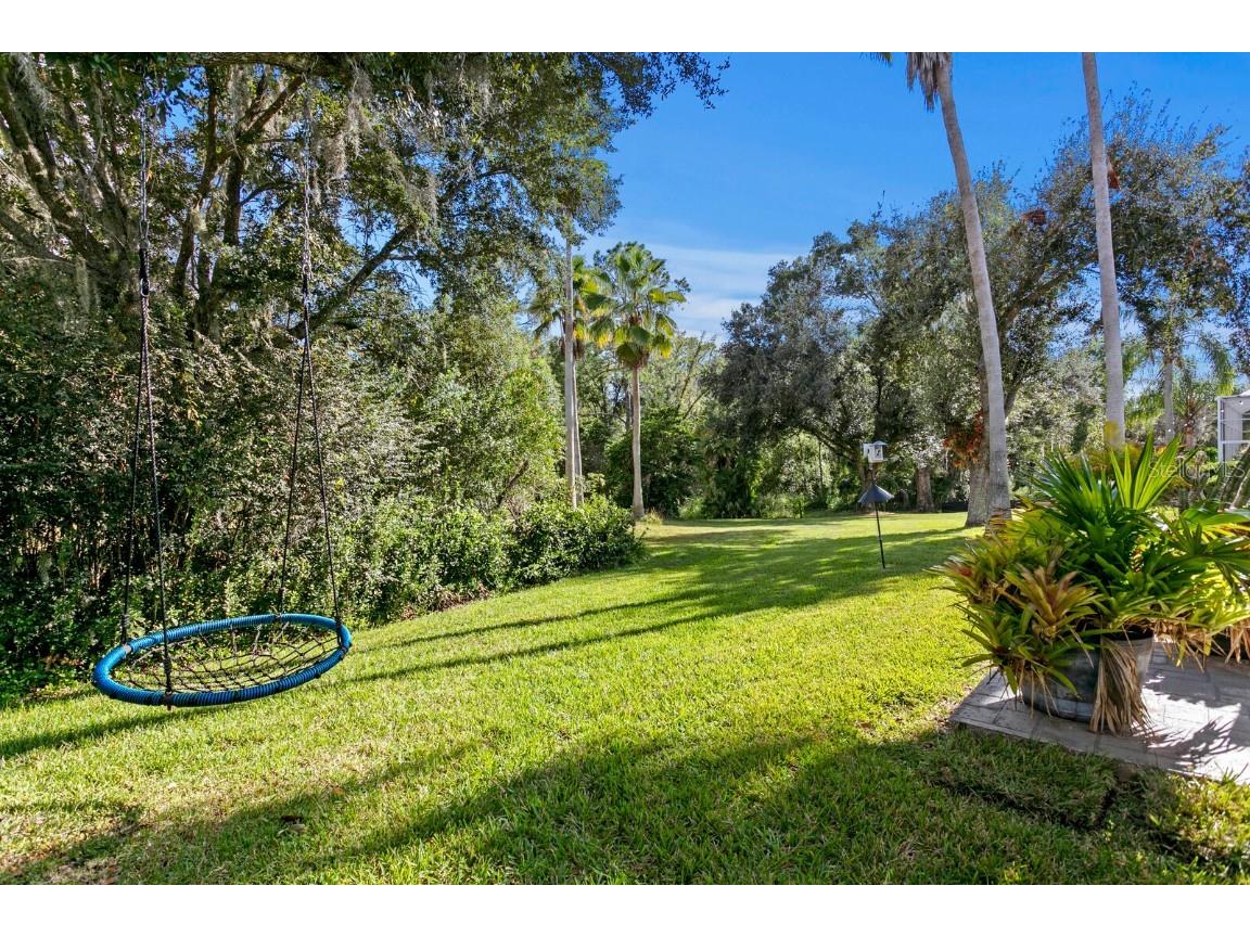 10506 Cory Lake Drive Tampa FL 33647 TB8437324 image69