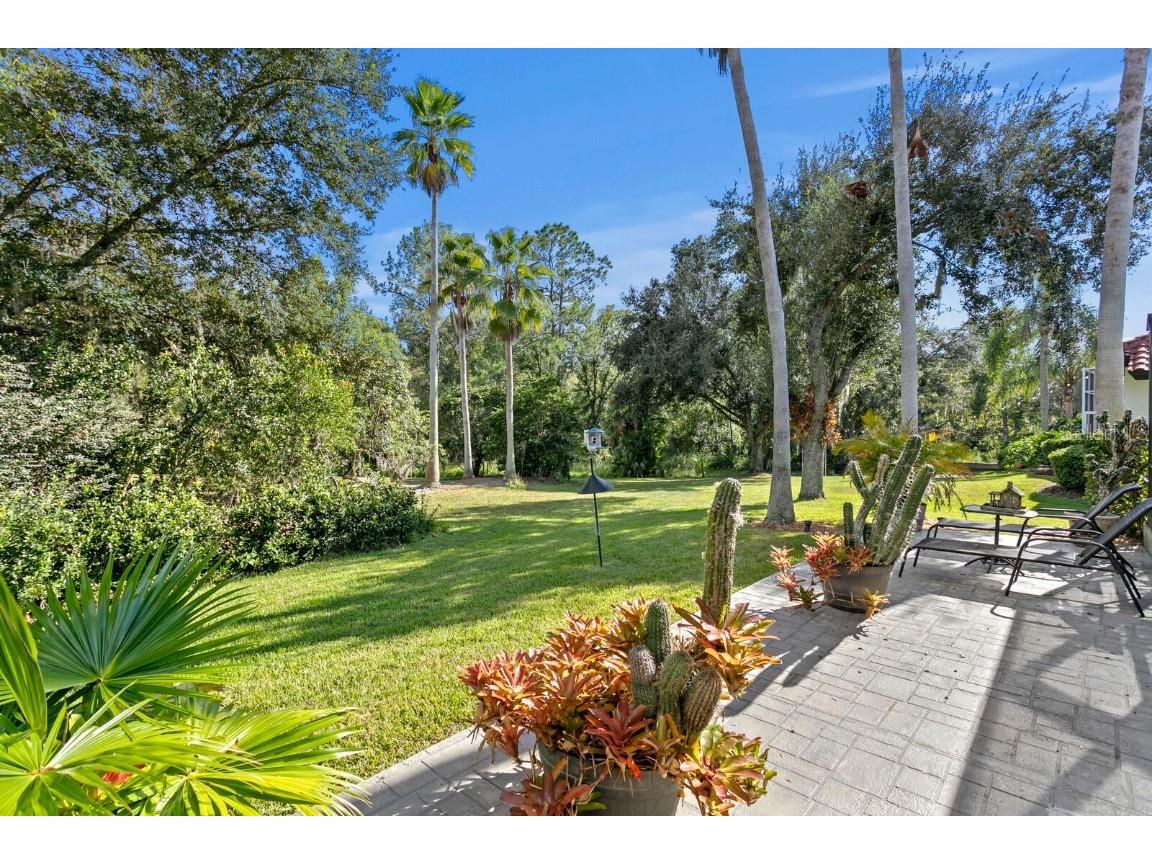 10506 Cory Lake Drive Tampa FL 33647 TB8437324 image70