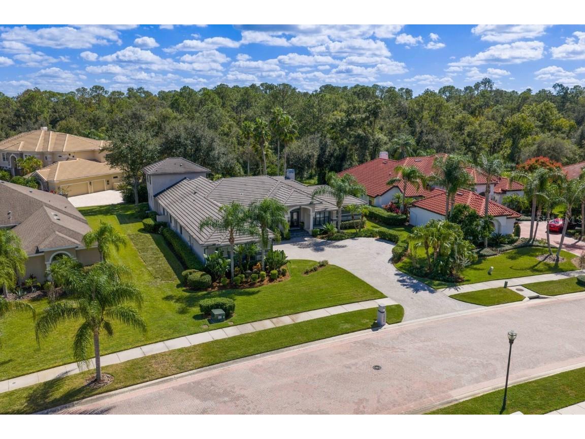 10506 Cory Lake Drive Tampa FL 33647 TB8437324 image74