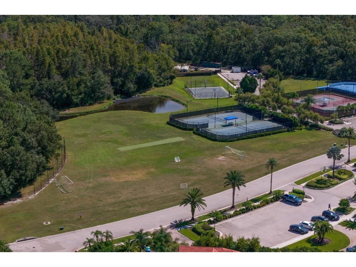 10506 Cory Lake Drive Tampa FL 33647 TB8437324 image77