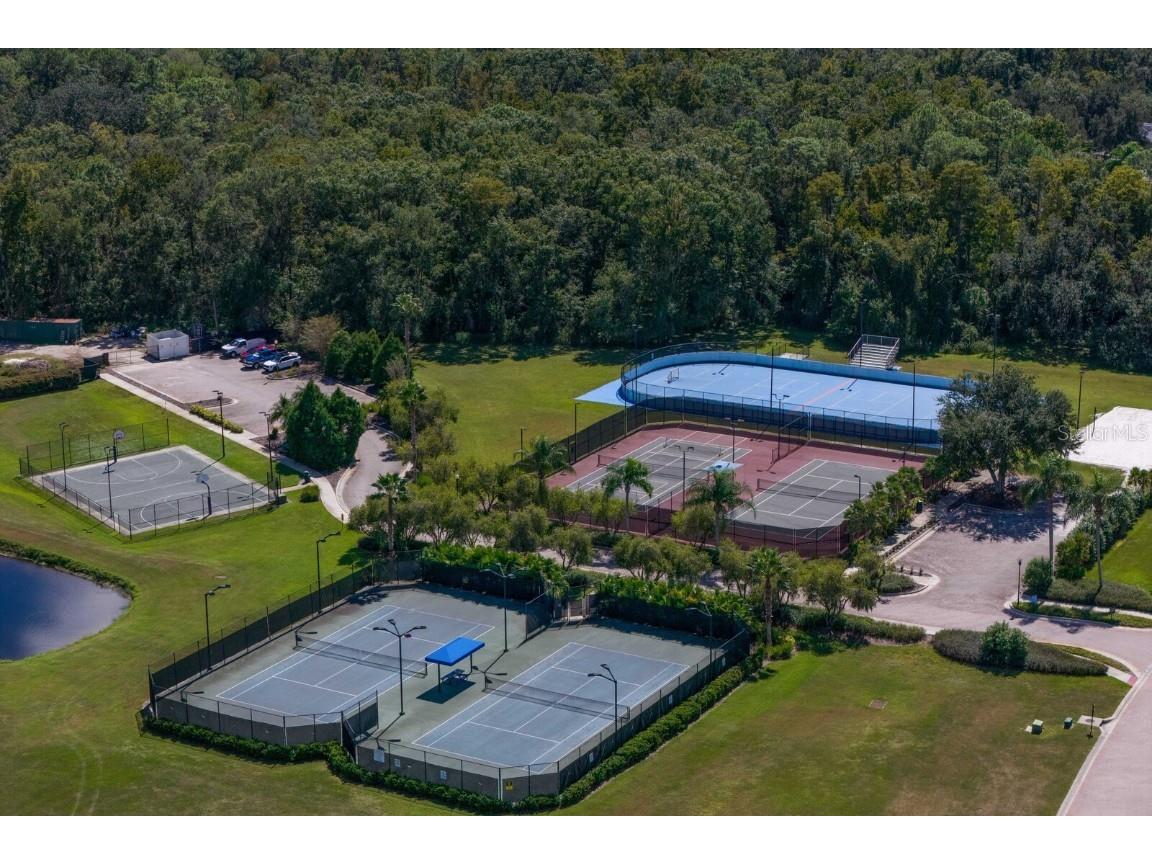 10506 Cory Lake Drive Tampa FL 33647 TB8437324 image78