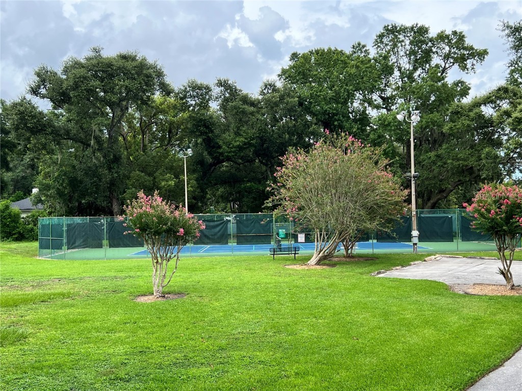 10506 Down Lakeview Circle Windermere FL 34786 S5130322 image32