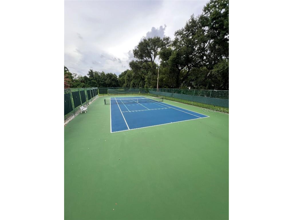 10506 Down Lakeview Circle Windermere FL 34786 S5130322 image33