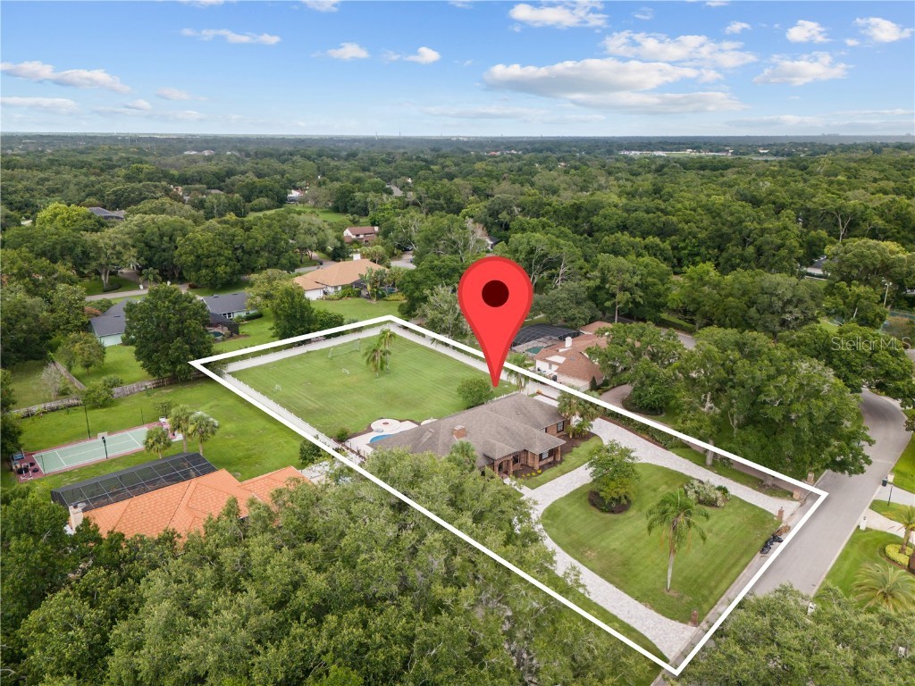 10506 Down Lakeview Circle Windermere FL 34786 S5130322 image4