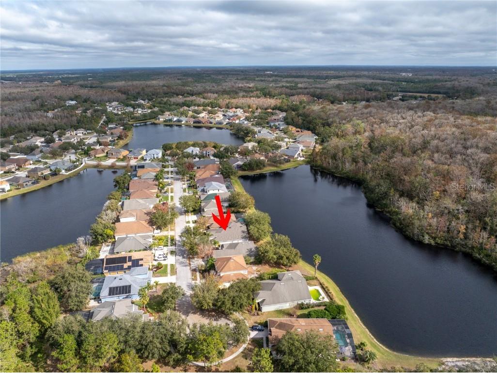 10506 Sky Flower Court Land O Lakes FL 34638 TB8380892 image1