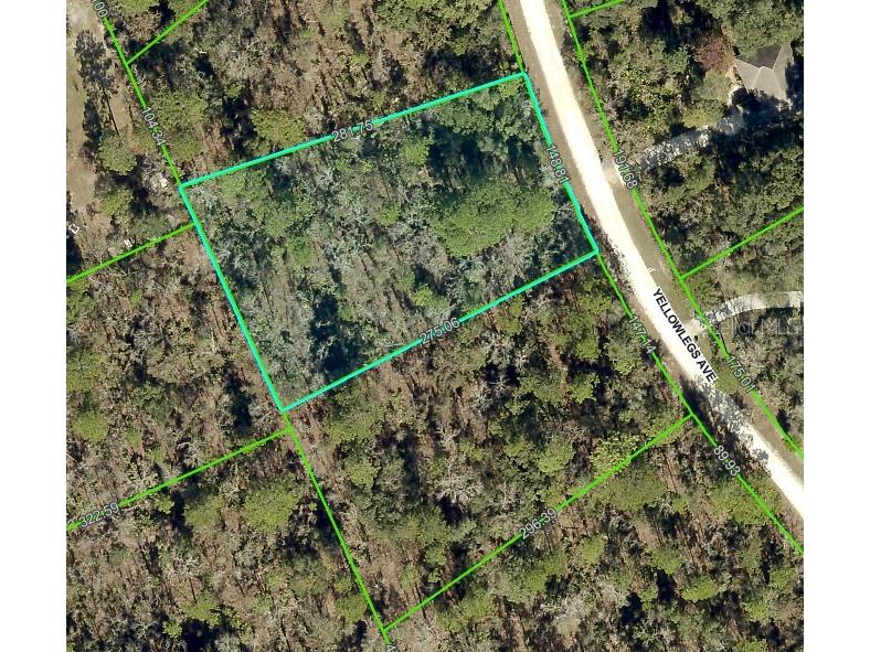 10506 Yellowlegs Avenue Weeki Wachee FL 34614 W7873400 image1