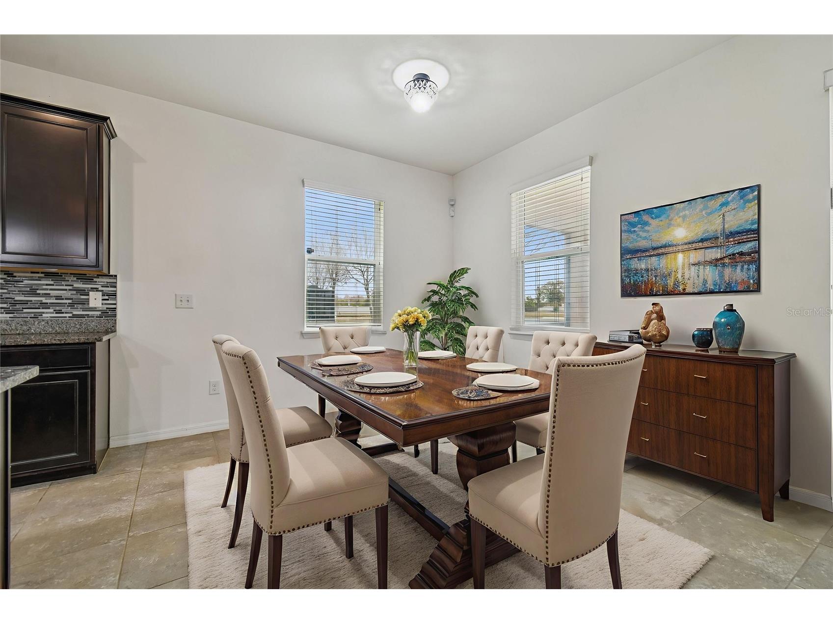 10507 Avian Forrest Drive Riverview FL 33578 TB8477215 image13