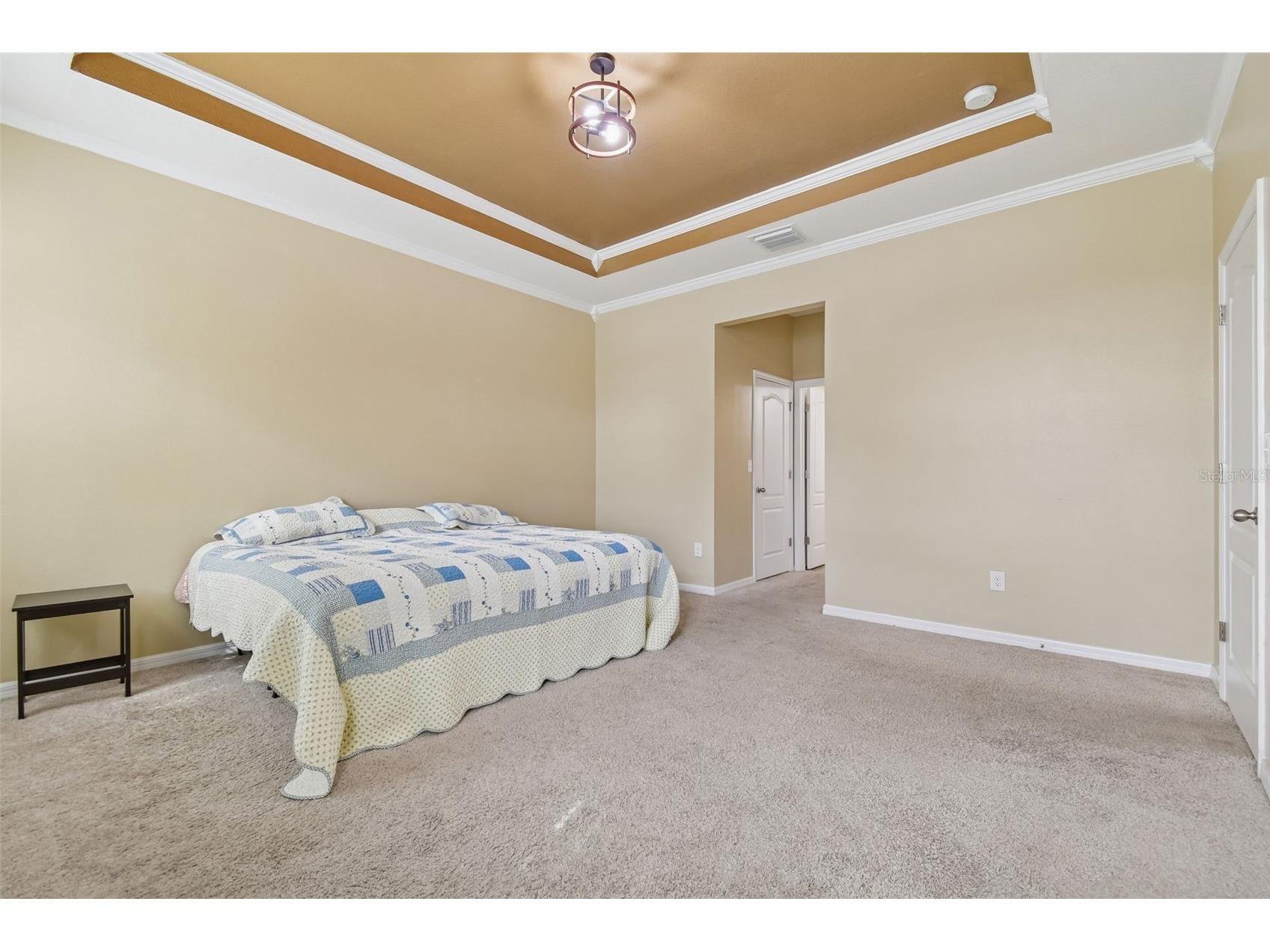 10507 Avian Forrest Drive Riverview FL 33578 TB8477215 image17