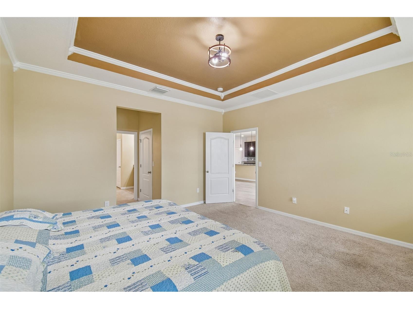 10507 Avian Forrest Drive Riverview FL 33578 TB8477215 image18