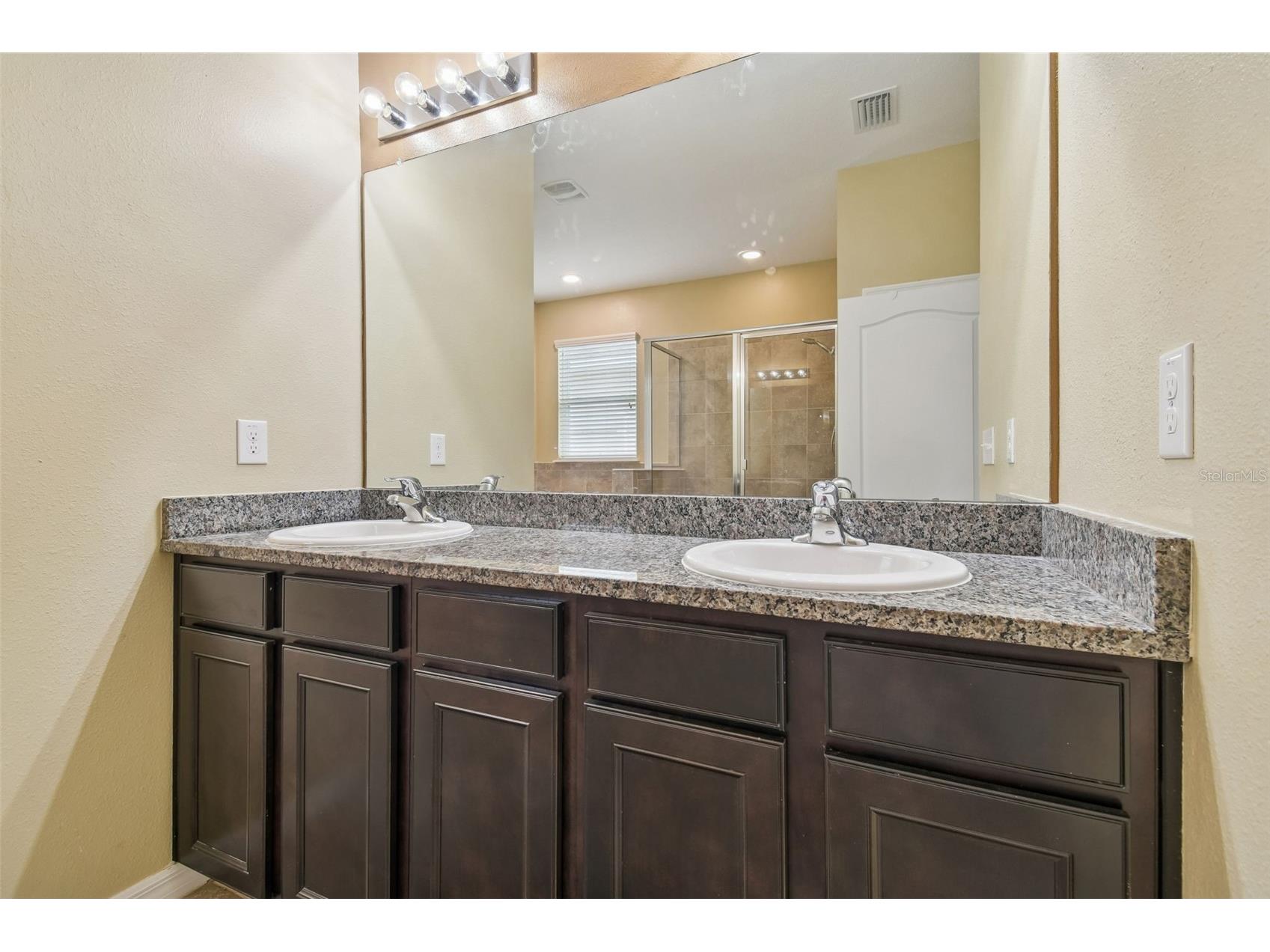 10507 Avian Forrest Drive Riverview FL 33578 TB8477215 image20