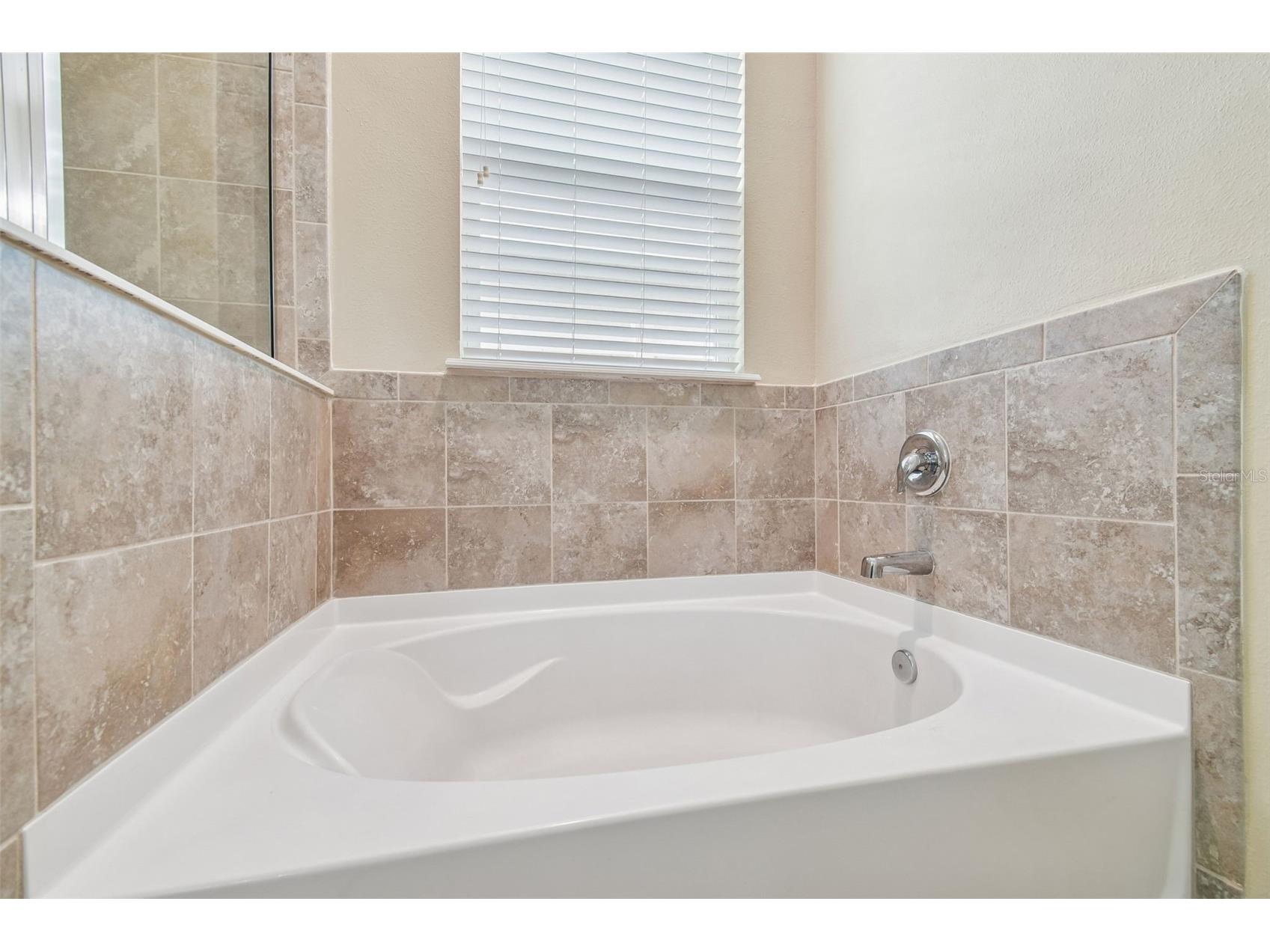 10507 Avian Forrest Drive Riverview FL 33578 TB8477215 image22